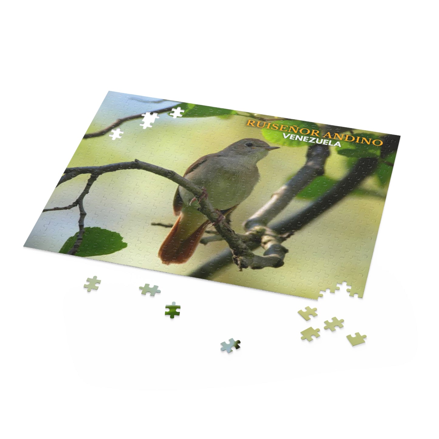 Rompecabezas Ruiseñor Andino | Puzzle de Aves y Naturaleza en Venezuela (120, 252 o 500 Piezas)