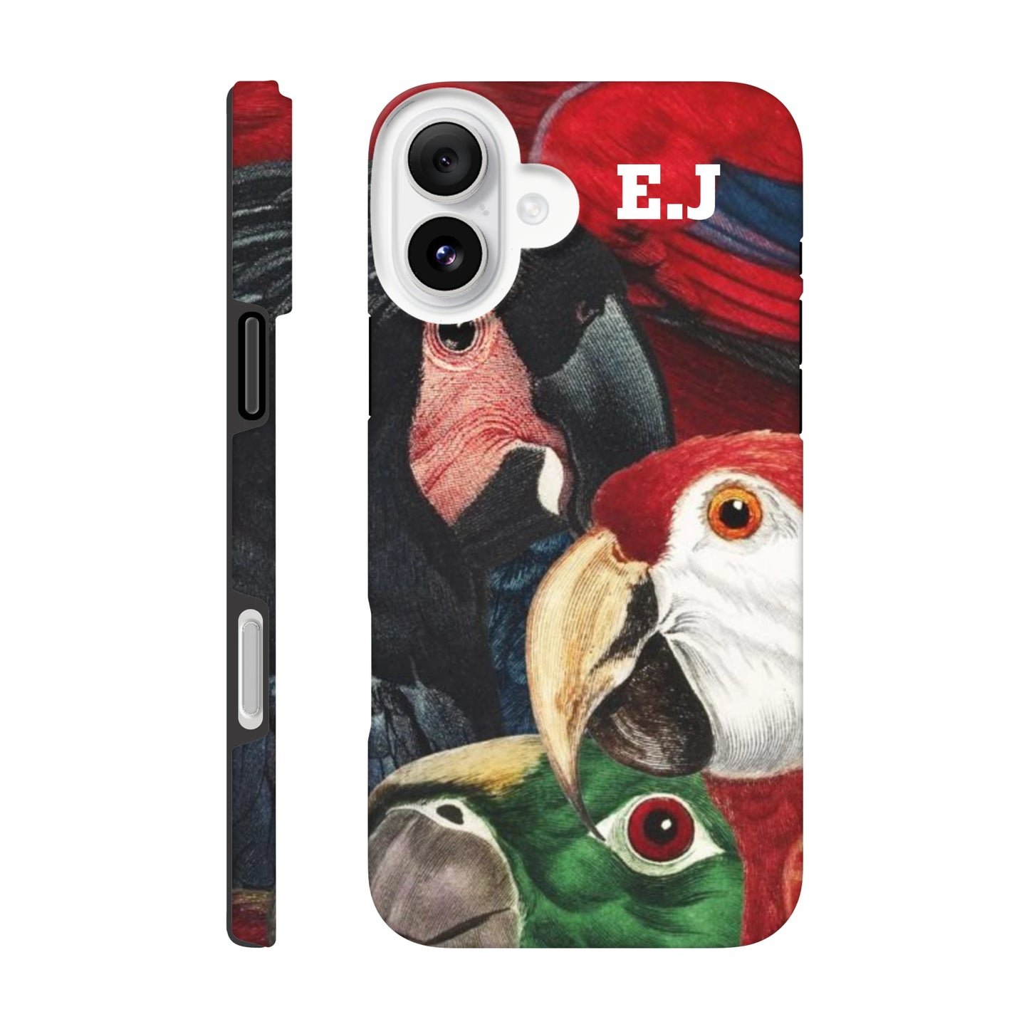 fb81ae6c-c91b-48a6-a978-f7612104631c