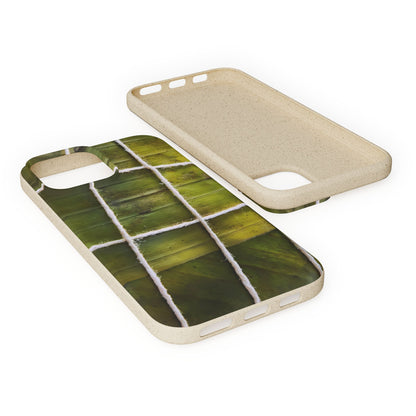 Funda Biodegradable | La Hayaca Mal Amarrada | iPhone y Samsun