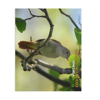 Rompecabezas Ruiseñor Andino | Puzzle de Aves y Naturaleza en Venezuela (120, 252 o 500 Piezas)