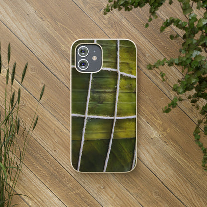 Funda Biodegradable | La Hayaca Mal Amarrada | iPhone y Samsun