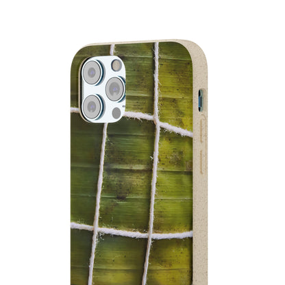 Funda Biodegradable | La Hayaca Mal Amarrada | iPhone y Samsun