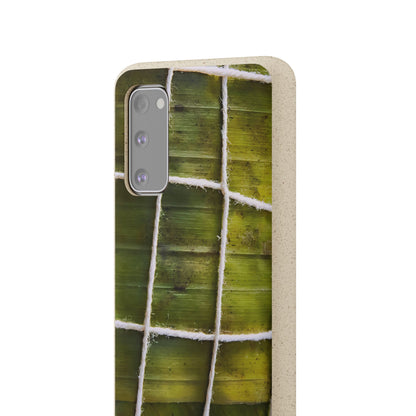 Funda Biodegradable | La Hayaca Mal Amarrada | iPhone y Samsun