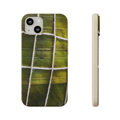Funda Biodegradable | La Hayaca Mal Amarrada | iPhone y Samsun