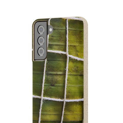 Funda Biodegradable | La Hayaca Mal Amarrada | iPhone y Samsun