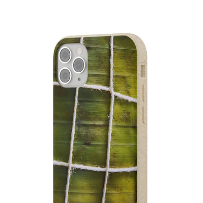 Funda Biodegradable | La Hayaca Mal Amarrada | iPhone y Samsun