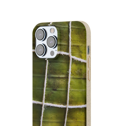 Funda Biodegradable | La Hayaca Mal Amarrada | iPhone y Samsun