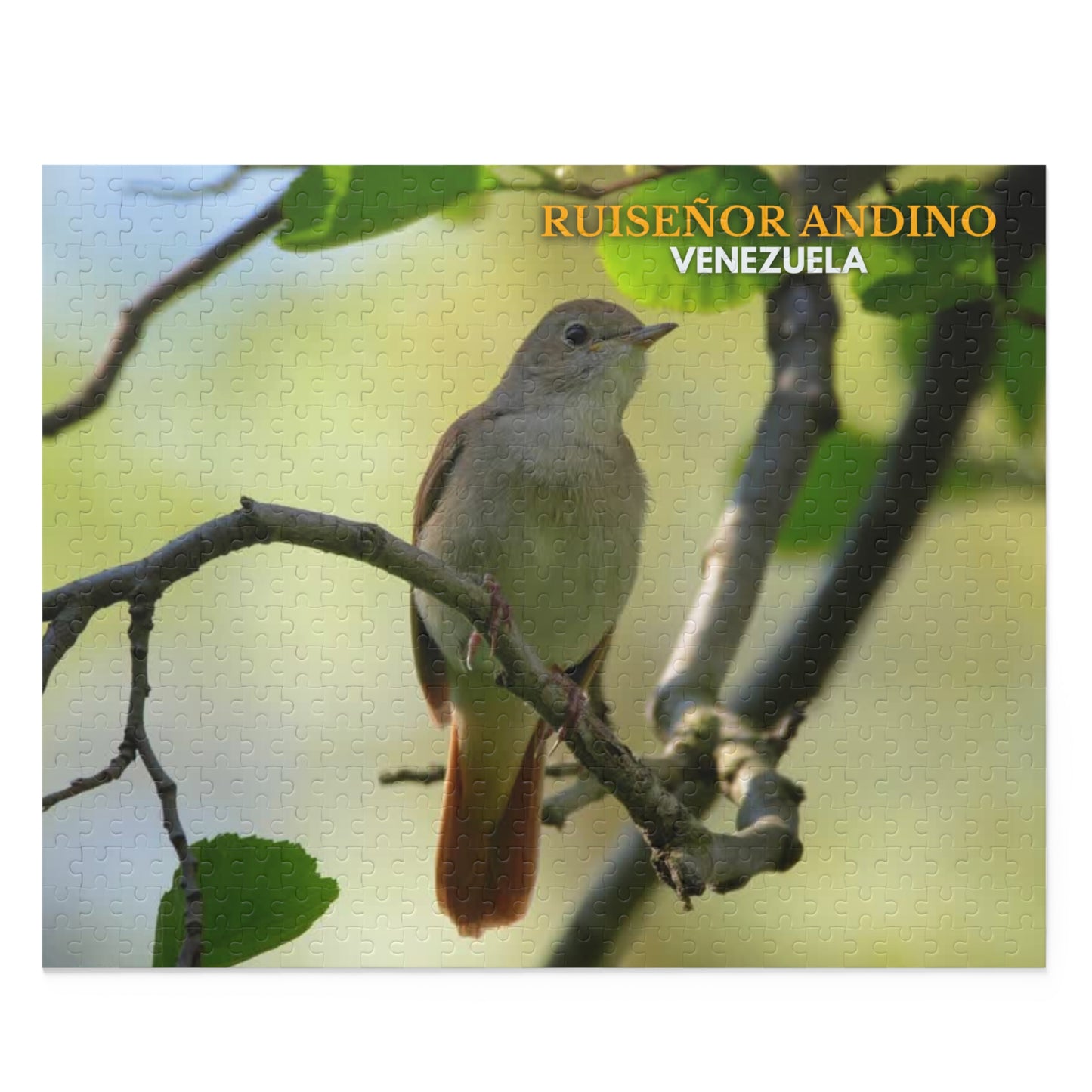 Rompecabezas Ruiseñor Andino | Puzzle de Aves y Naturaleza en Venezuela (120, 252 o 500 Piezas)