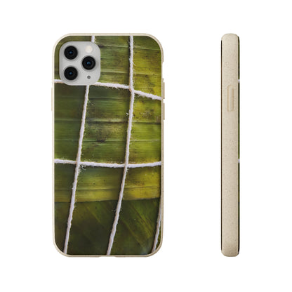 Funda Biodegradable | La Hayaca Mal Amarrada | iPhone y Samsun
