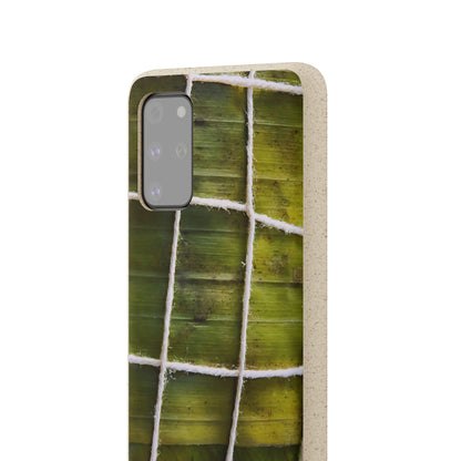 Funda Biodegradable | La Hayaca Mal Amarrada | iPhone y Samsun
