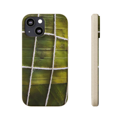 Funda Biodegradable | La Hayaca Mal Amarrada | iPhone y Samsun