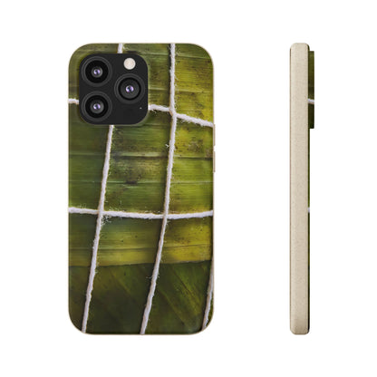 Funda Biodegradable | La Hayaca Mal Amarrada | iPhone y Samsun