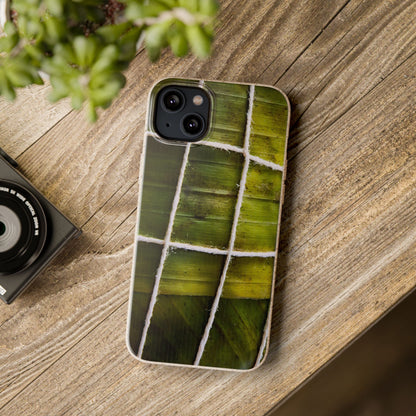 Funda Biodegradable | La Hayaca Mal Amarrada | iPhone y Samsun