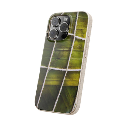 Funda Biodegradable | La Hayaca Mal Amarrada | iPhone y Samsun