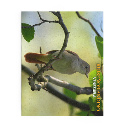 Rompecabezas Ruiseñor Andino | Puzzle de Aves y Naturaleza en Venezuela (120, 252 o 500 Piezas)