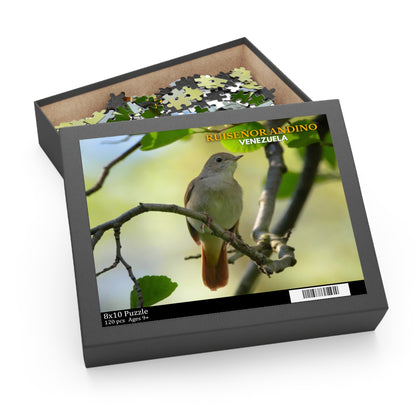 Rompecabezas Ruiseñor Andino | Puzzle de Aves y Naturaleza en Venezuela (120, 252 o 500 Piezas)