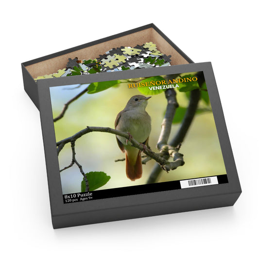 Rompecabezas Ruiseñor Andino | Puzzle de Aves y Naturaleza en Venezuela (120, 252 o 500 Piezas)