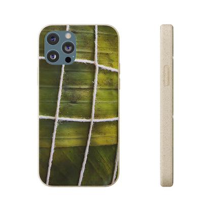 Funda Biodegradable | La Hayaca Mal Amarrada | iPhone y Samsun
