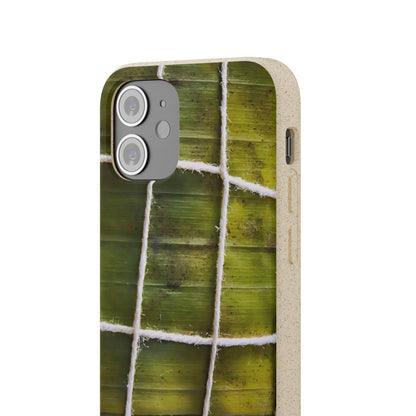 Funda Biodegradable | La Hayaca Mal Amarrada | iPhone y Samsun