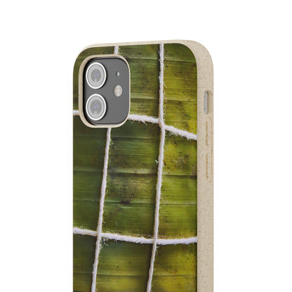 Funda Biodegradable | La Hayaca Mal Amarrada | iPhone y Samsun