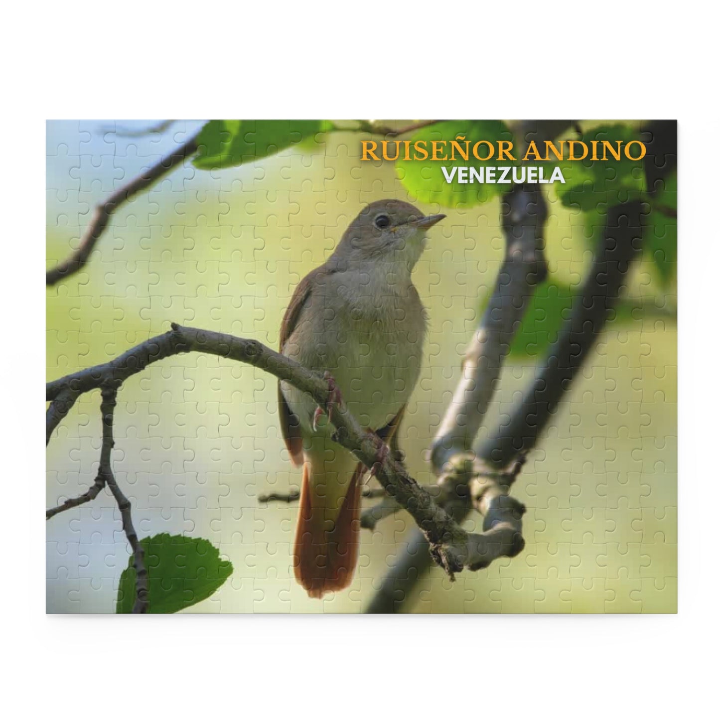 Rompecabezas Ruiseñor Andino | Puzzle de Aves y Naturaleza en Venezuela (120, 252 o 500 Piezas)