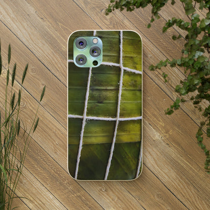 Funda Biodegradable | La Hayaca Mal Amarrada | iPhone y Samsun