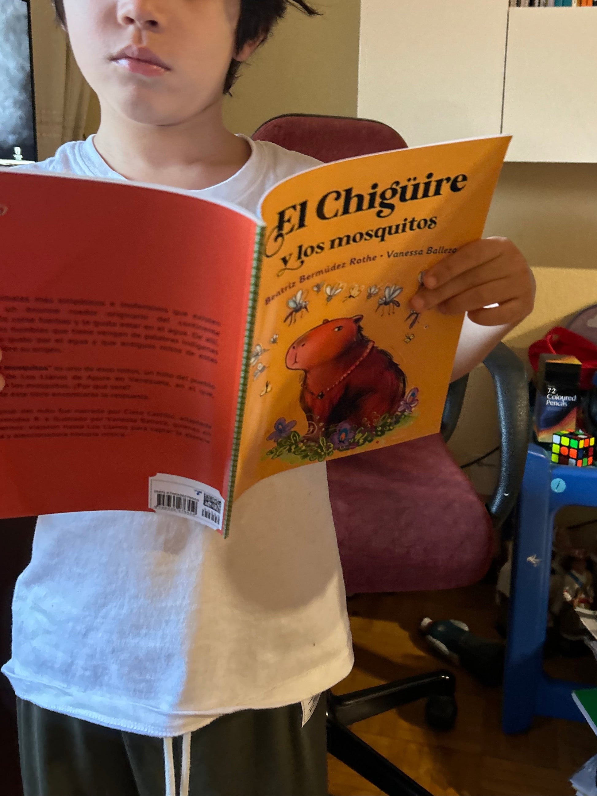 Niño leyen el chiguire  los mosquitos cuento venezolano